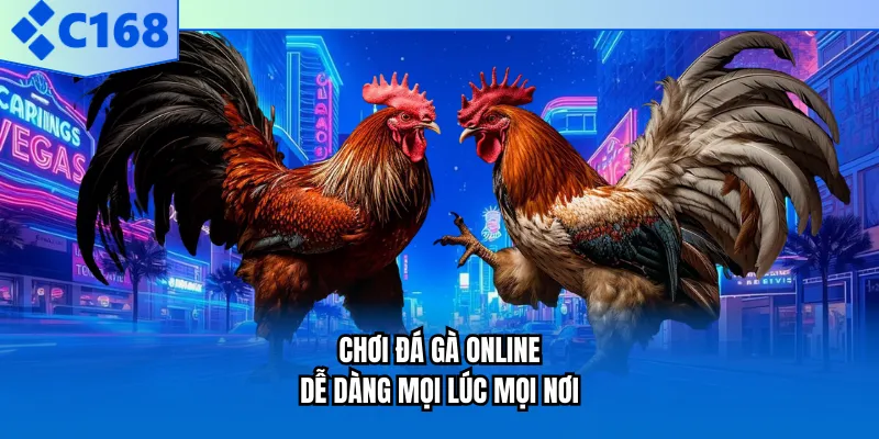 Chơi đá gà online dễ dàng mọi lúc mọi nơi Chơi đá gà online dễ dàng mọi lúc mọi nơi